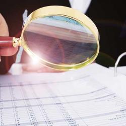 Due Diligence Investigations